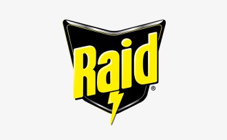Raid